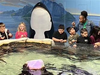 Seaquest field trip pictures - students.